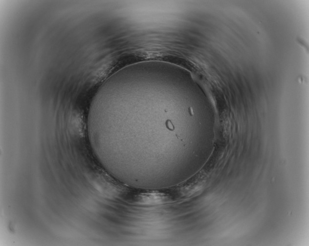 X0000091290316200708171351