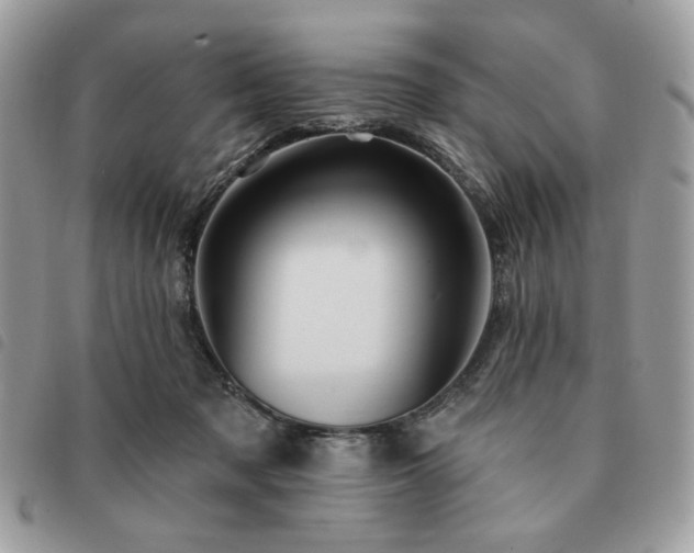 X0000091290317200708171351