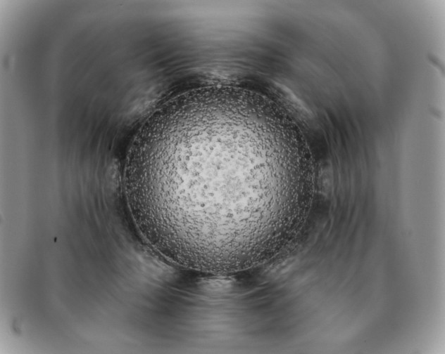 X0000091290318200708171351