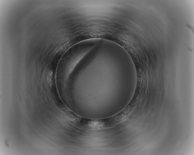 X0000091290319200708171351