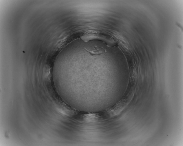 X0000091290320200708171351