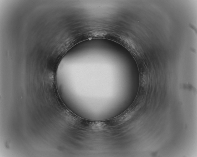 X0000091290321200708171351