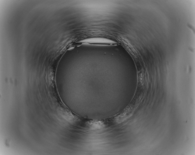 X0000091290322200708171351