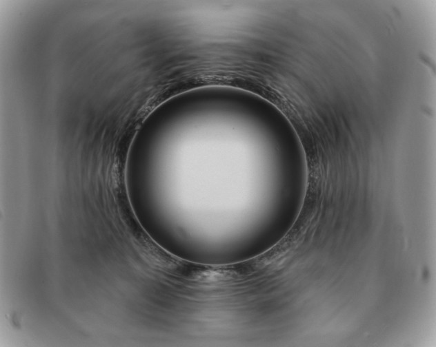 X0000091290323200708171351