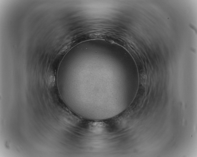 X0000091290324200708171351