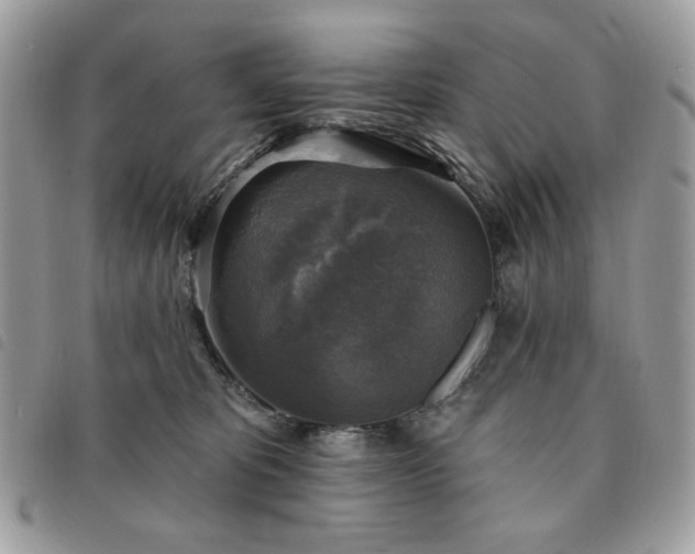 X0000091290325200708171351