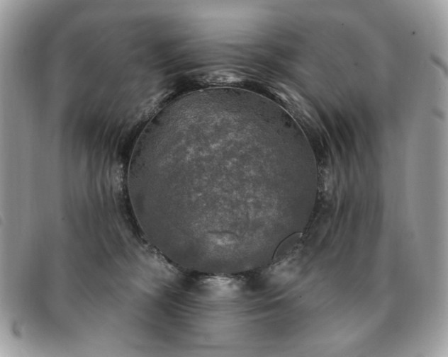 X0000091290326200708171351