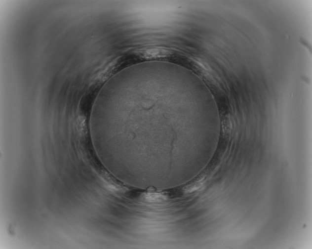 X0000091290327200708171351