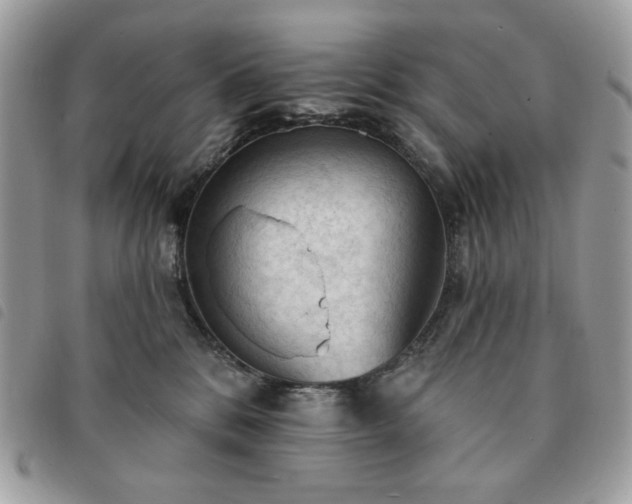 X0000091290328200708171351