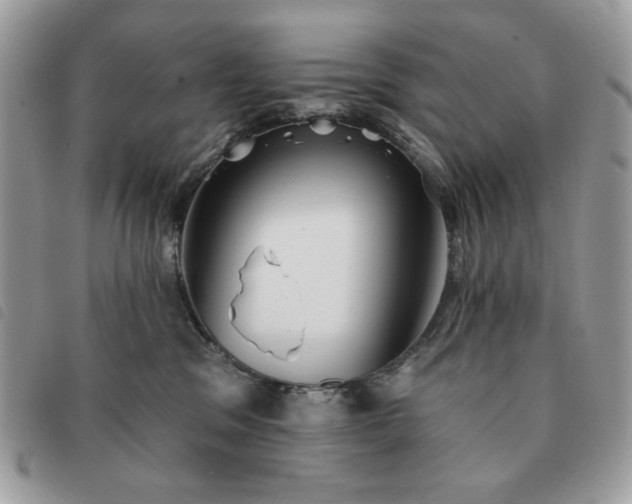 X0000091290329200708171351