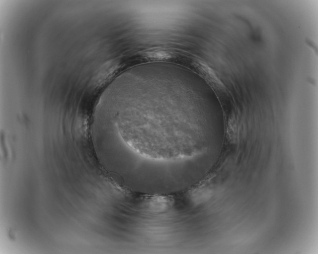 X0000091290330200708171351