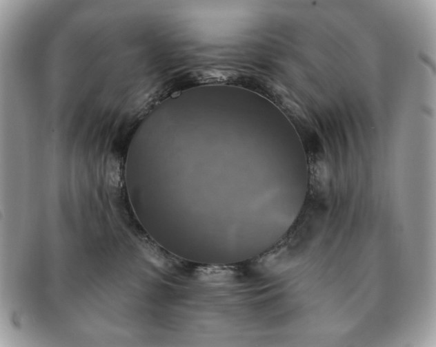 X0000091290331200708171351