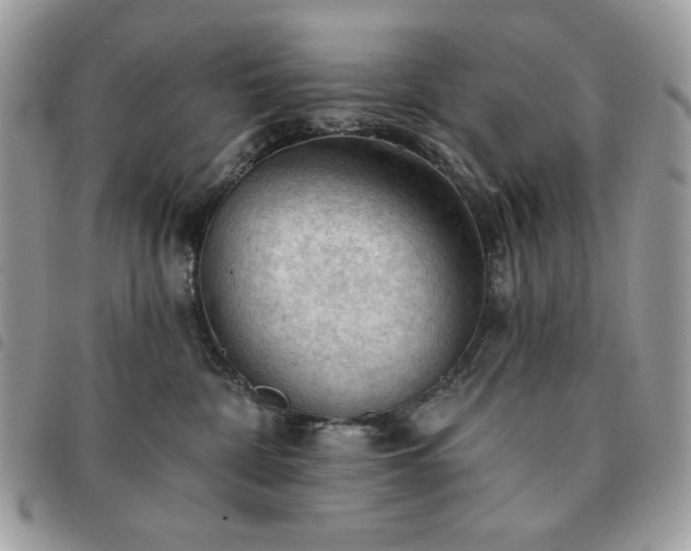 X0000091290332200708171351