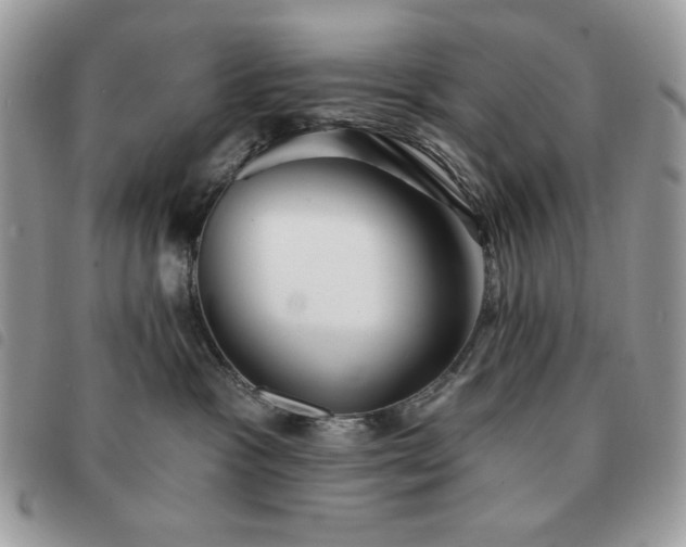 X0000091290333200708171351