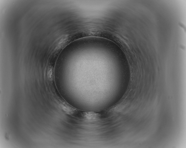 X0000091290336200708171351