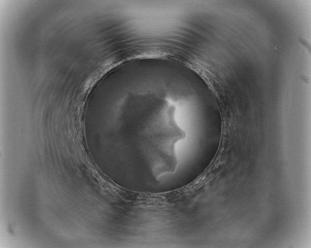 X0000091290337200708171350