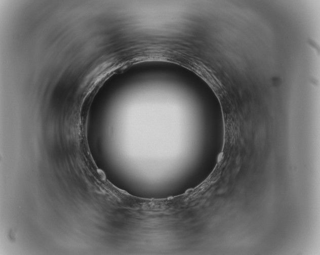 X0000091290338200708171350