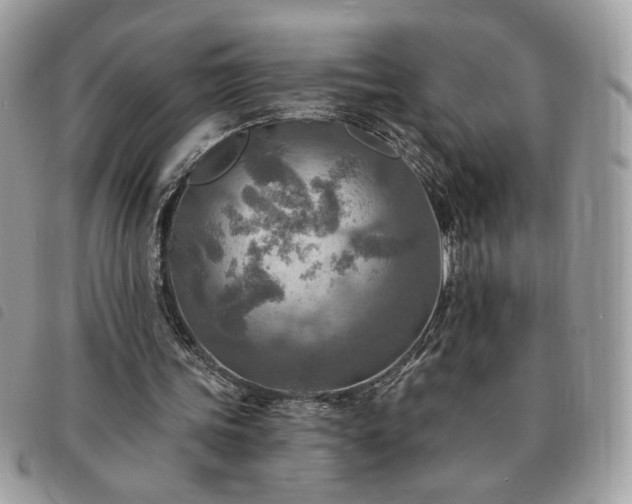 X0000091290339200708171350