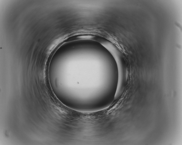 X0000091290340200708171350