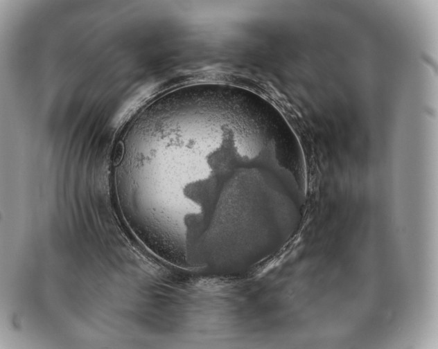 X0000091290341200708171350