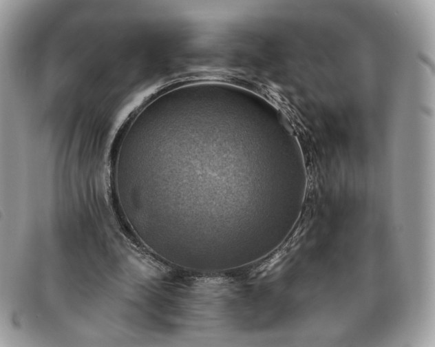 X0000091290342200708171350