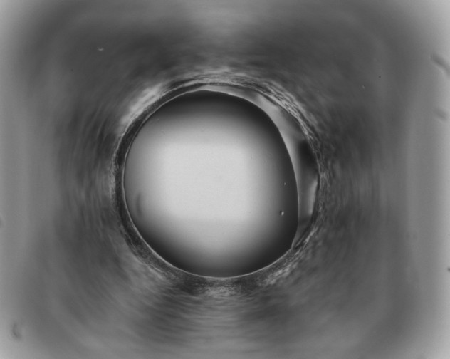 X0000091290344200708171350