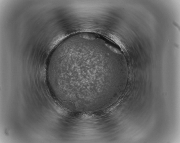 X0000091290346200708171350