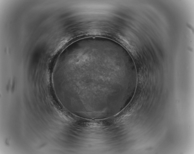 X0000091290347200708171350