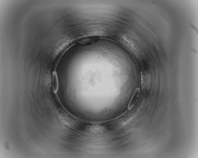 X0000091290348200708171350