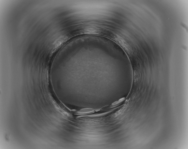 X0000091290349200708171351