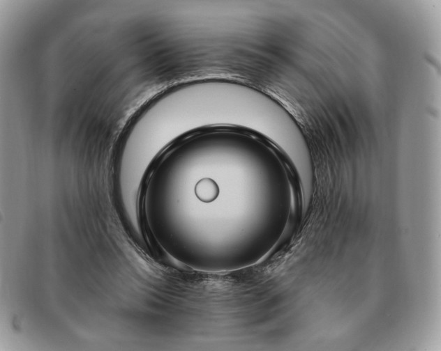 X0000091290350200708171351