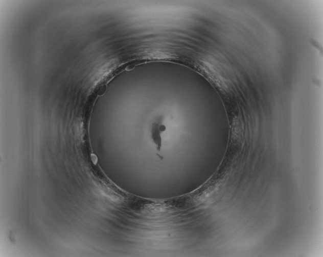 X0000091290351200708171351