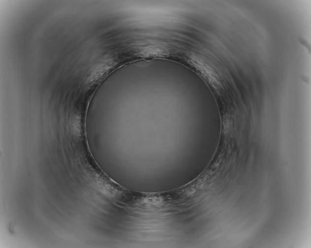 X0000091290353200708171351