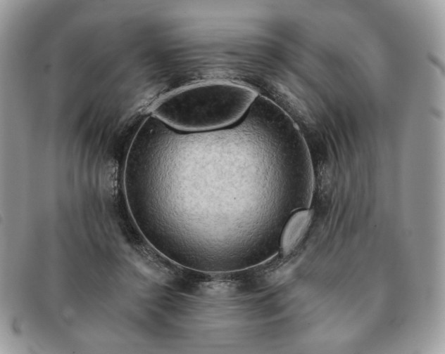 X0000091290356200708171351