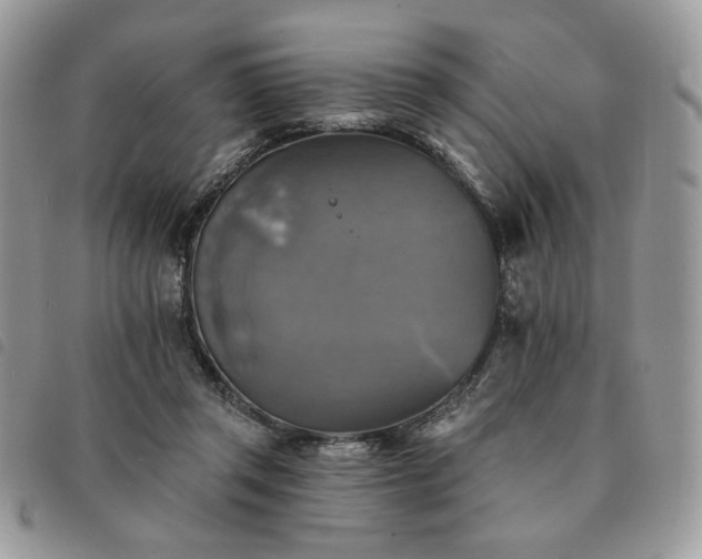 X0000091290357200708171351