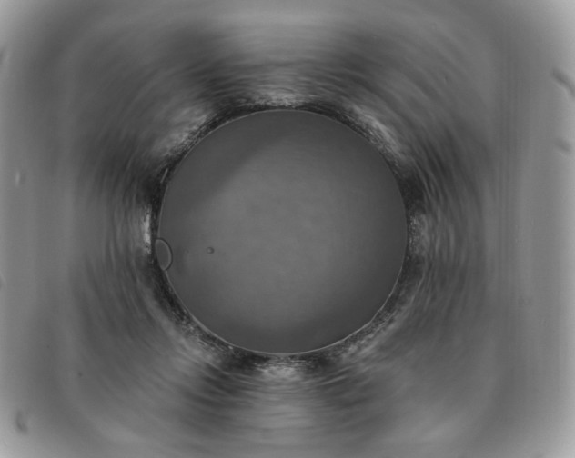 X0000091290358200708171351