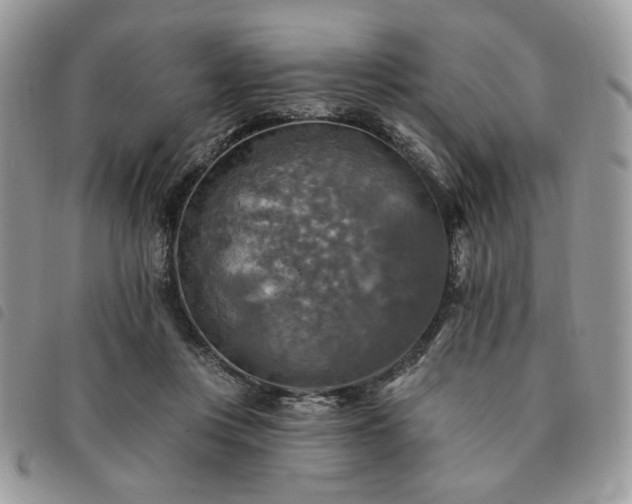 X0000091290359200708171351