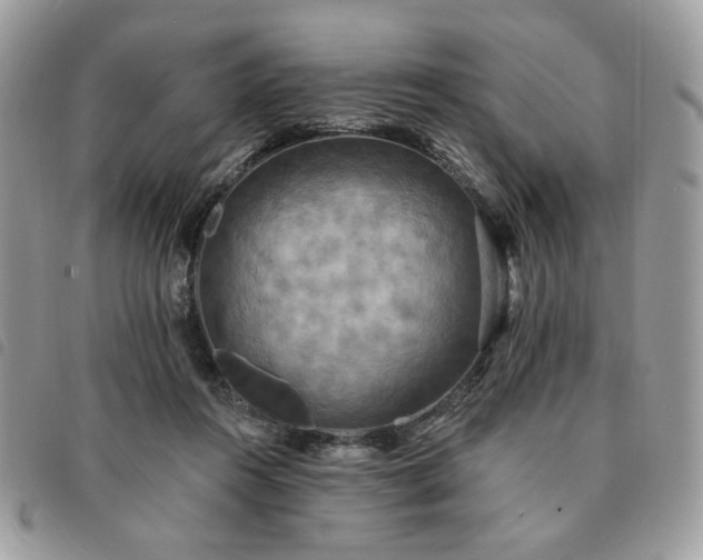 X0000091290360200708171351