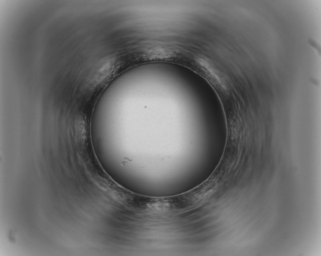 X0000091290362200708171351