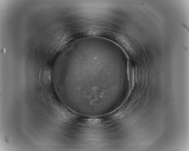 X0000091290363200708171351