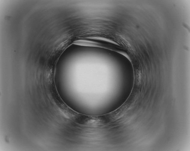 X0000091290364200708171351