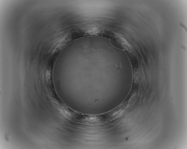 X0000091290365200708171351