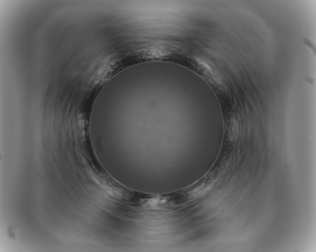 X0000091290366200708171351