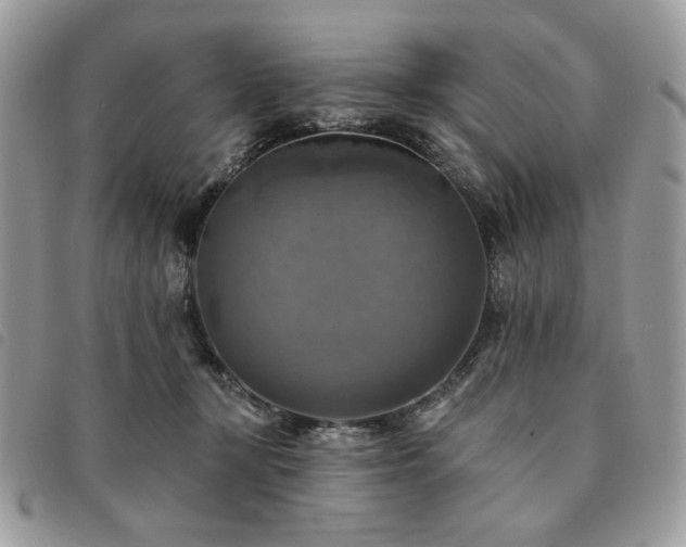 X0000091290367200708171351