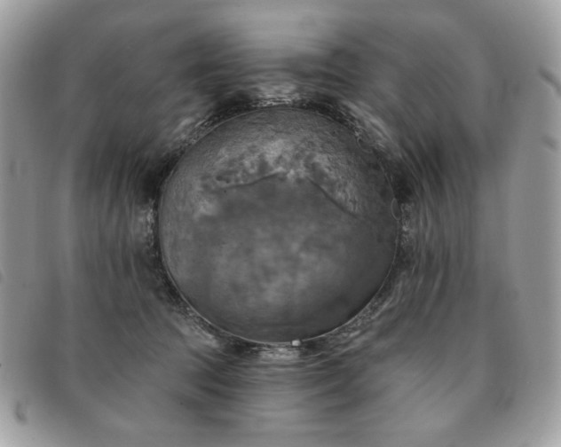 X0000091290369200708171351