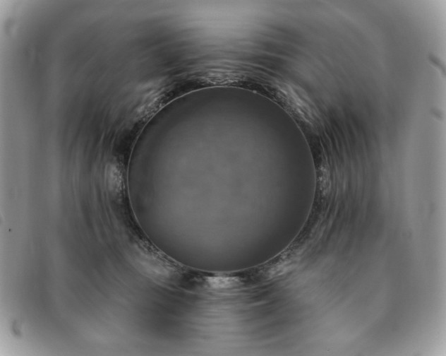 X0000091290371200708171351