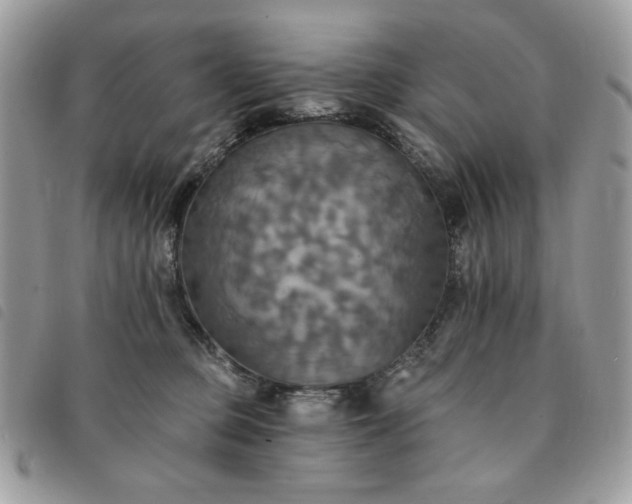 X0000091290373200708171351