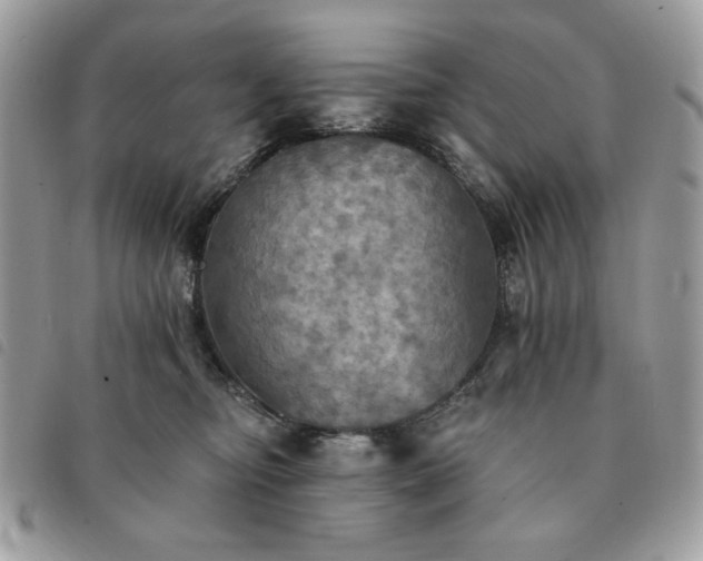 X0000091290374200708171351