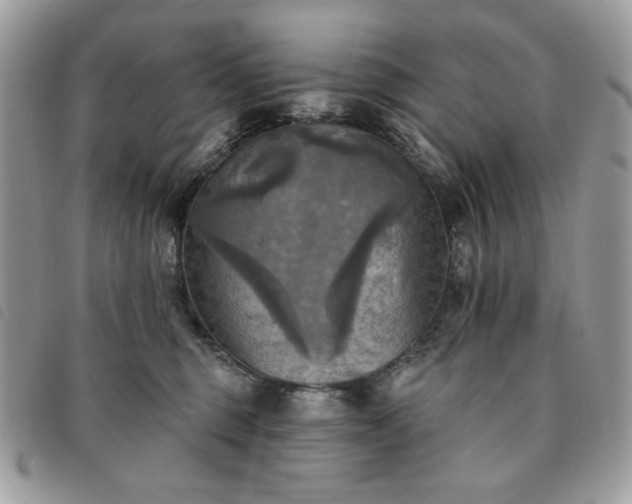 X0000091290375200708171351