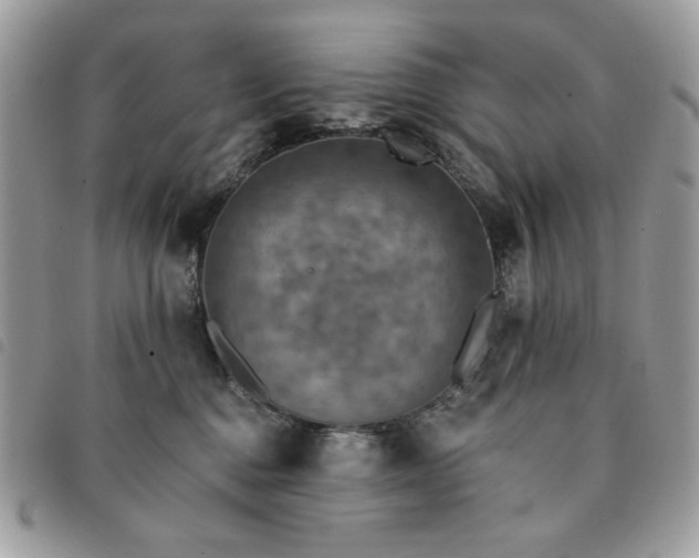 X0000091290376200708171351